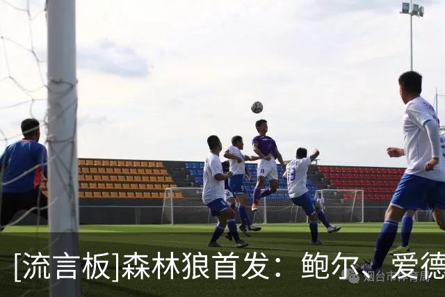 [流言板]森林狼首发：鲍尔、爱德华兹、麦丹、库明加和戈贝尔